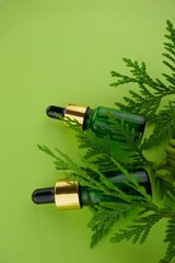 Thuja essential oil.   glass bottle with  coniferous tree  oil and fresh thuja branches on a light green background.Natural Organic Bio Essential Oils