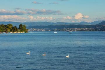 Lake Zurich at sunset in summer, summits of the Alps in the background, view from the city of Zurich