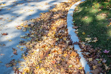 Piles of dried autumn leaves blown against a curb in residential district with some up on grass of a lawn and dappled shadows - selective focus