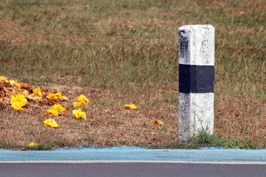 concrete kilometre sign pole on the roadside with nature grass background, concrete pillar kilometer on the road and yellow flowers on floor, kilometer stone on the road and near grassland in thailand