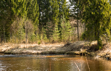 The woods and lakes in Latvia, the autumn nature