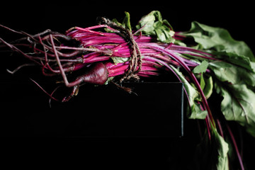 Beet with tops, with green leaves on a dark background