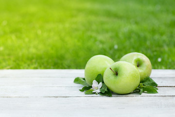 Fresh garden green apples