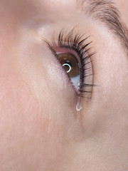 Eye with tear. Close up