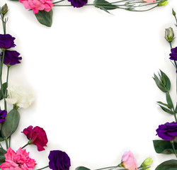 Frame of violet, white, pink and red flowers Eustoma ( Texas bluebells, bluebell, lisianthus, prairie gentian ) and pink rose on a white background with space for text. Top view, flat lay