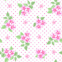 Seamless Polka Dot Texture with dog rose. Pink polka dot.