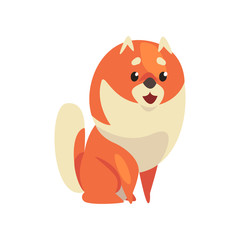 Cute Sitting Pomeranian Spitz, Funny Pet Dog Cartoon Character Vector Illustration