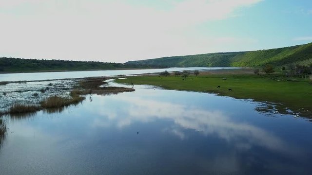 Flying over the river on a sunny summer day. Dniester river of Moldova republic.