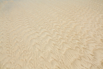 sand texture and background