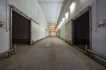 Hangar for fruits and vegetables in storage stock. production warehouse. Plant Industry