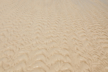 Fototapeta na wymiar sand texture and background