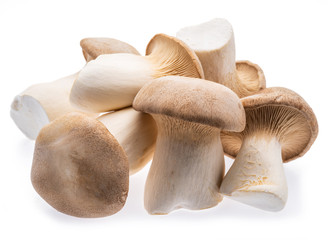 King oyster mushrooms isolated on white background.