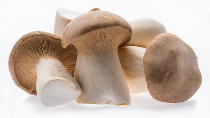 King oyster mushrooms isolated on white background.