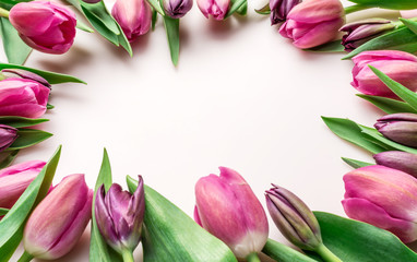 Delicate pink tulips on lightpink background.