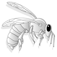 Bee illustration vector Design.  For Creative Industry, Multimedia, entertainment, Educations, Shop, and any related business.