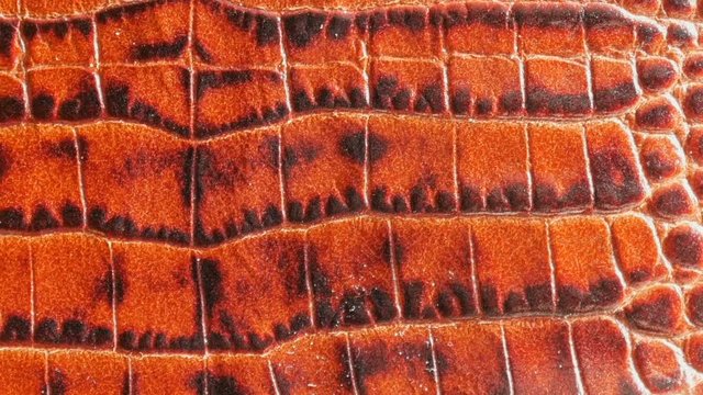 crocodile leather brown background, python texture	