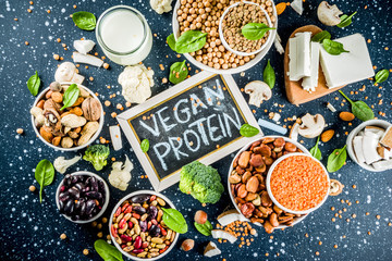 Vegan plant protein sources