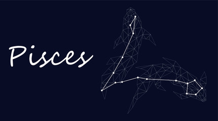 Pisces Zodiac sign constellation vector. Horoscope sign constellation fish. Abstract crystal space dark sky background with dots stars. Vector Astrology silhouette Pisces illustration white symbol