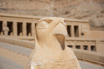 Statue of Horus at the Temple of Hatshepsut in the vicinity of Luxor