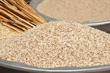 le haricot l'équivalent de la viande