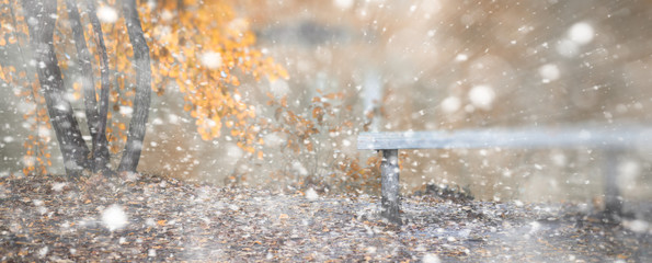 Winter park lonely bench under snow