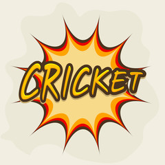 Stylish text for cricket match.