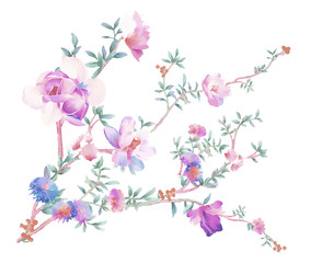 Fototapeta na wymiar Elegant watercolor flowers and branches