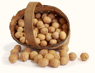 Walnuts in the basket on white background