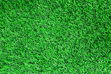 Top view of artificial green grass texture background.