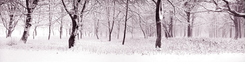 Kış Manzara Panoramik Resim