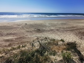 france summer beach surfer coast
