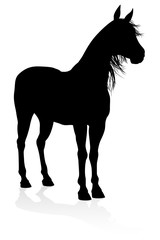 A high quality very detailed horse in silhouette