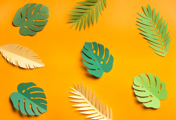Summer yellow background with different leaves types