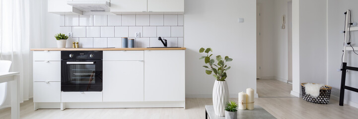 Modern studio apartment with kitchenette
