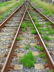 Fototapeta premium 流山線の線路風景