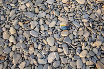 Bright sun painted on pebble. Pebbles and sea background.
