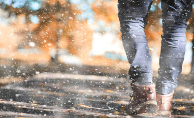 Autumn park in the first snow