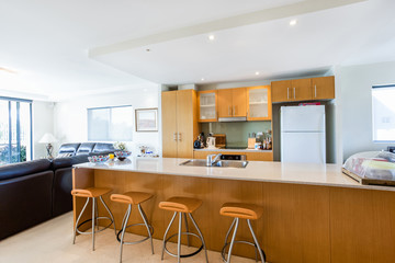 Beautiful Kitchen and Living Area with Wooden Finish on Cabinets and Counter