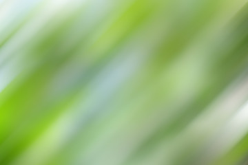 Green color abstract background and backdrop