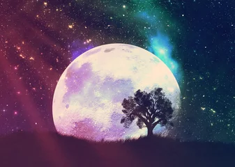 Afwasbaar behang Volle maan en bomen Eenzame boom over planeet en sterrenhemel