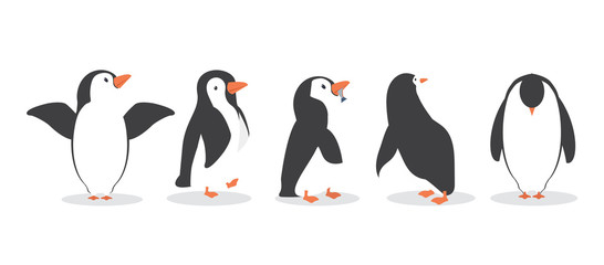 penguin characters in different poses set © focus_bell