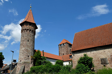 Fototapeta na wymiar martinstor und hexenturm in ladenburg