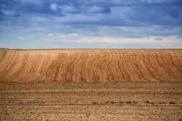 Texture of cultivated soil field and blue sky.