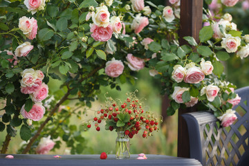 A beautiful garden with blooming roses, tasty wild strawberries and a chair.
