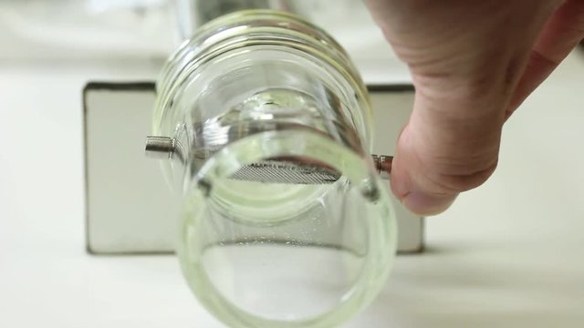 Y - shaped olfactometer experiment testing Chagas bug