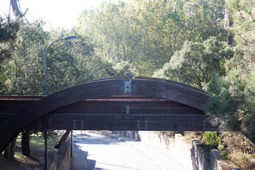 ponte r&uacute;stica 