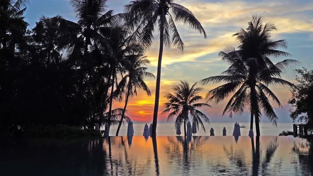 Sunset shot of an infinity pool with the ocean and palm trees in the background. LOCKED OFF