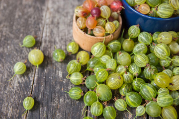 Fresh gooseberries  original bowls