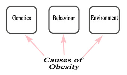 Three Cause of Obesity:.Genetics,.Behaviour,.Environment