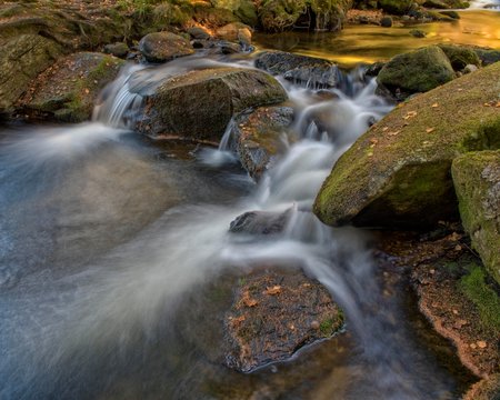 River Vydra, moss covered stones, Sumava National Park, Bohemia, Czech Republic, Europe